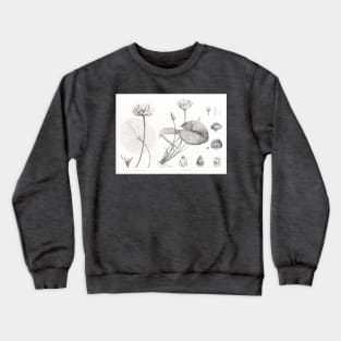 Egyptian lotus and White Egyptian lotus - Botanical Illustration Crewneck Sweatshirt